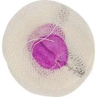 Запасна сітка Kovea Mantle 2901 (1053-Mantle 2901) - Robinzon.ua