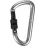 Брелок-карабін Salewa D-Shape Carbiner with Screw - Robinzon.ua