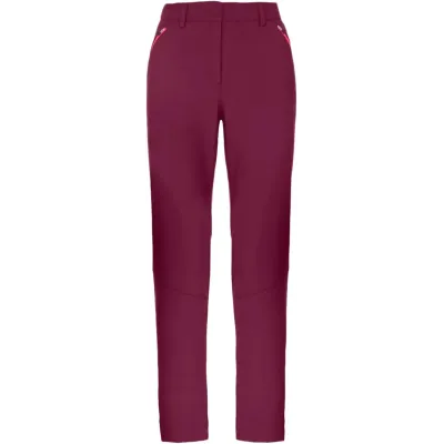 Штаны женские Salewa W Dolomia PNT, pink, 40/34 (279366360) - Robinzon.ua