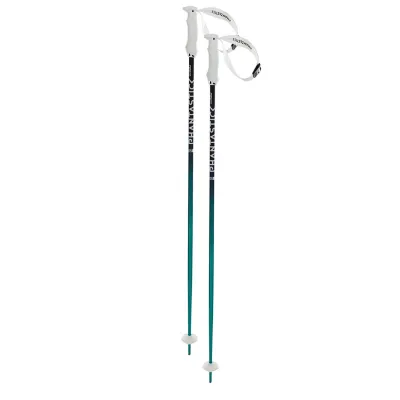 Палки горнолыжные Volkl Phantastick Women's Ski Poles 115 Green-Purple 169819-115 - Robinzon.ua