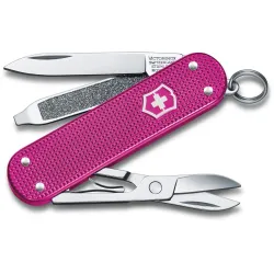 Складной нож Victorinox Classic SD Vx06221.251G Складной нож Victorinox Classic SD Vx06221.251G - Robinzon.ua