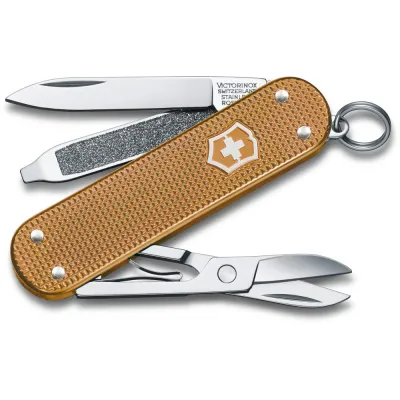 Розкладний ніж Victorinox Classic SD Vx06221.255G - Robinzon.ua