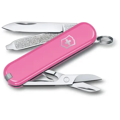 Складной нож Victorinox Classic SD Vx06223.51G - Robinzon.ua