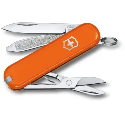 Розкладний ніж Victorinox Classic SD Vx06223.83G Розкладний ніж Victorinox Classic SD Vx06223.83G - Robinzon.ua