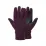 Рукавички Montane Female Neutron Glove, Saskatoon Berry, р.L (GFNGLSASN08) - Robinzon.ua