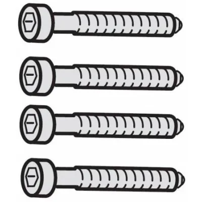 Гвинт M6 (44 мм) (4 шт) 52736 (RideAlong, RideAlong Lite, Yepp Nexxt FM) (TH 52736) - Robinzon.ua