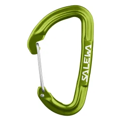 Карабин Salewa Hot G3 Wire, Green, UNI (1723/5810 UNI) - Robinzon.ua