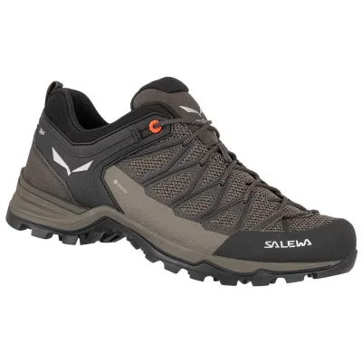 Кросівки чоловічі Salewa MTN TRAINER LITE 44 - коричневий - 013.001.4904 - Robinzon.ua