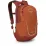 Рюкзак дитячий Osprey Daylite Jr 10L Orange Dawn/Bazan (009.3468) - Robinzon.ua