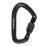 Карабін Black Diamond HotForge Screwgate Carabiner, Black, р. (BD 210161.0002) - Robinzon.ua