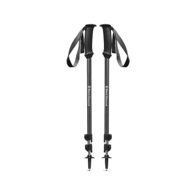 Трекінгові телескопічні палиці Black Diamond Trail Explorer 3, Anthracite (BD 1122290001ALL1) - Robinzon.ua