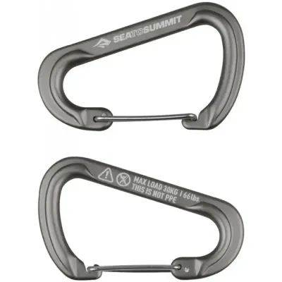 Набор карабинов Accessory Carabiner Large Titanium 2pcs от Sea To Summit, Titanium (STS ATD0140-00122101) - Robinzon.ua