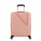 Чемодан 55 см DYNABELT ROSE - Robinzon.ua
