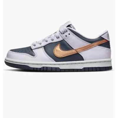 Детские  Кроссовки Nike DUNK LOW SE 1 Серый 36.5 (7dDX1663-400 36.5) - Robinzon.ua