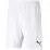 Шорти Puma teamRISE Short білий Чол XL 704942-03 XL - Robinzon.ua
