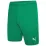 Шорти Puma teamRISE Short зелений Чол 2XL 704942-05 2XL - Robinzon.ua