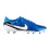 Мужские Бутсы Nike LEGEND 10 ACADEMY FG/MG Синий 42.5 (7dDV4337-400 42.5) - Robinzon.ua