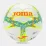 Мяч футбольный Joma DALIII бело-салатовый Уни 5 401412.047 5 - Robinzon.ua