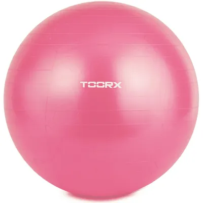 М'яч для фітнесу Toorx Gym Ball Fuchsia 55 cm (AHF-069) - Robinzon.ua