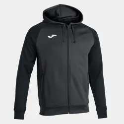 Чоловіча спортивна кофта Joma ACADEMY IV ZIP-UP HOODIE чорний XL 101967.151 XL Чоловіча спортивна кофта Joma ACADEMY IV ZIP-UP HOODIE чорний XL 101967.151 XL - Robinzon.ua