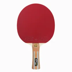 Ракетка для настільного тенісу ATEMI 5000 анатомічна Balsa-Carbon (4740152100604) Ракетка для настільного тенісу ATEMI 5000 анатомічна Balsa-Carbon (4740152100604) - Robinzon.ua