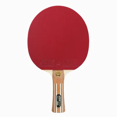 Ракетка для настільного тенісу ATEMI 5000 анатомічна Balsa-Carbon (4740152100604) - Robinzon.ua