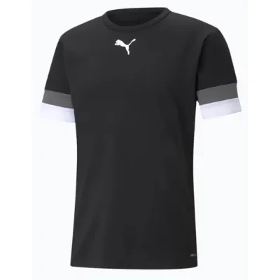 Мужская Футболка Puma teamRISE Jersey черный Муж S 704932-03 S - Robinzon.ua