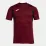 Чоловіча Футболка Joma T-SHIRT WINNER III Бордовий 2XL (103150.680 2XL) - Robinzon.ua